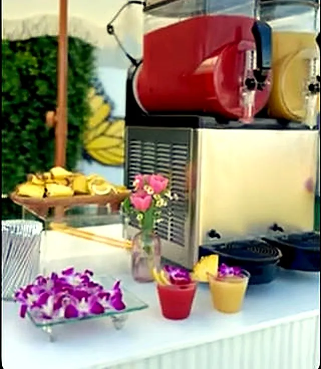 Double barrel slushy machine with tropical garnishes